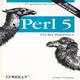 Perl 5 Pocket Reference Programming Tools