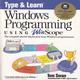 Type & Learn Windows Programming using Winscope The complete starter kit for first time Windows programmers Paperback