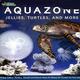 Aquazone Screen Saver- Alum Systems - Windows
