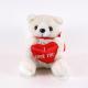 Plush White Bear w/ I Love You Heart