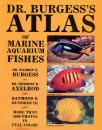 shopbestlove: Dr. Burgess's Atlas of Marine Aquarium Fishes - More than 4000 photos in Full Color