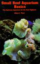 shopbestlove: Small Reef Aquarium Basics - The Optimum Aquarium for the Reef Hobbyist