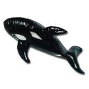 shopbestlove: Black Killer Whale Inflate [36in]