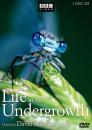 shopbestlove: Life In the UnderGrowth - David Attenborough - 2 disc DVD Set - 2006