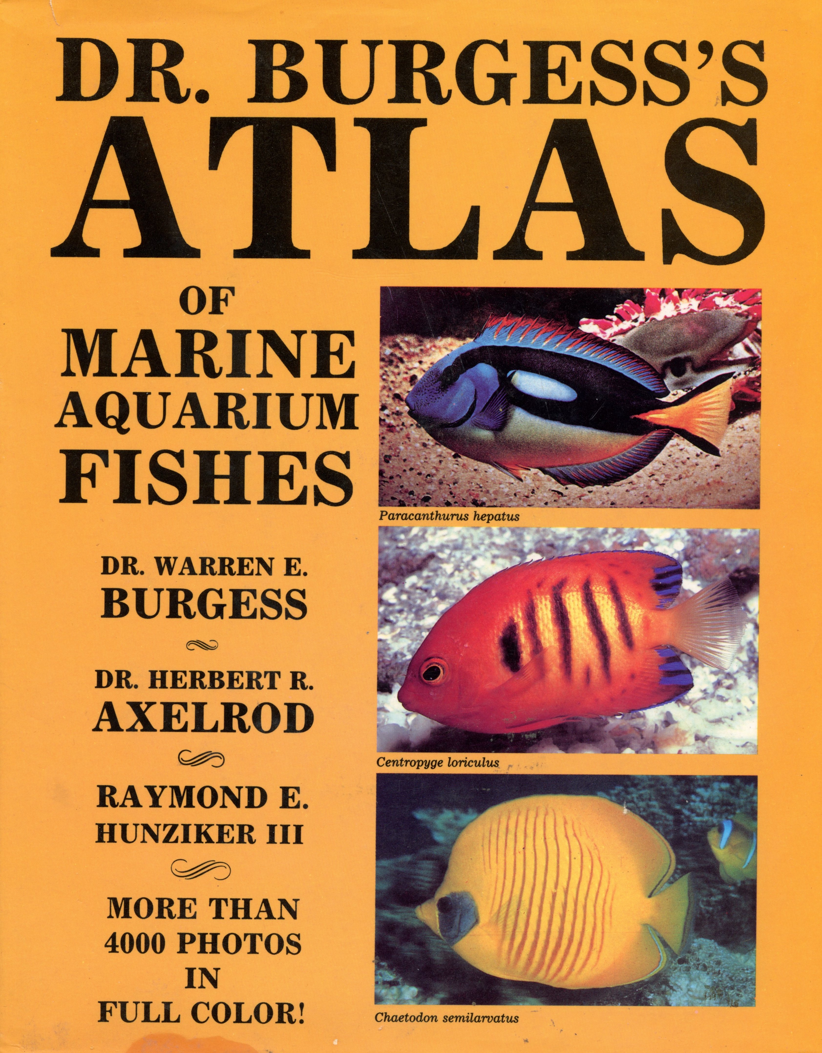 Dr. Burgess's Atlas of Marine Aquarium Fishes - More than 4000 photos in Full Color - Dr. Warren E. Burgess / Dr. Herbert R Axelrod - 1988 - Hardcover - T.F.H. Publications Inc.