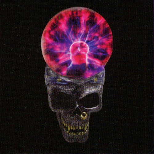 Large Skull Plasma Lamp