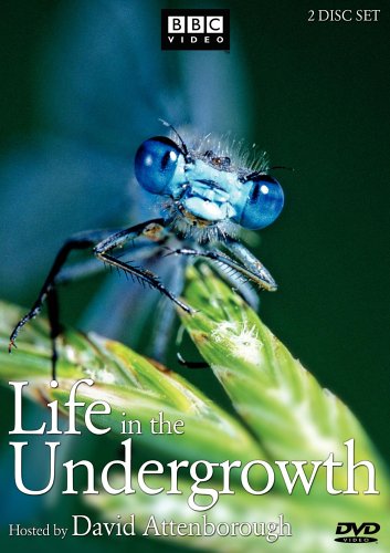 Life In the UnderGrowth - David Attenborough - 2 disc DVD Set - 2006