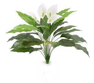 Spathiphyllum Plant (silk)