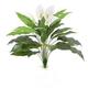 shopbestlove: Spathiphyllum Plant (silk)