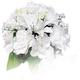 shopbestlove: Gardenia Bouquet (silk)